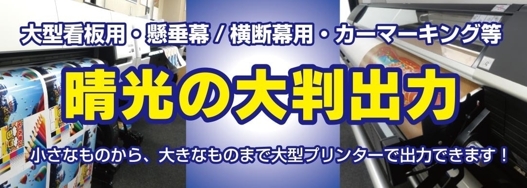 大判出力