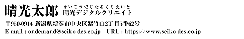 04明朝体H