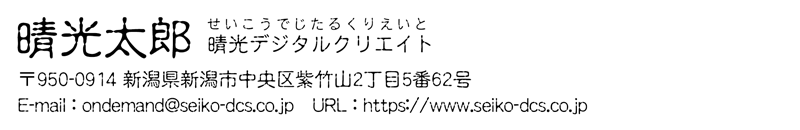 20康印体W4