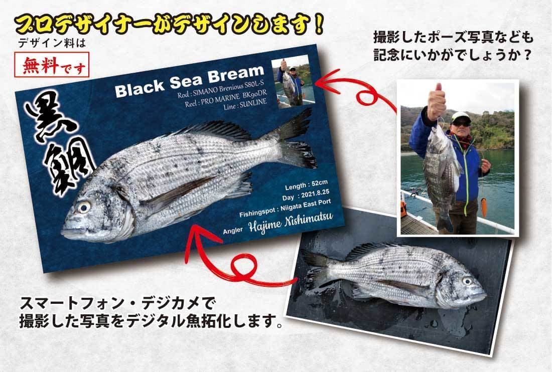 プロデザイナーがデザインします