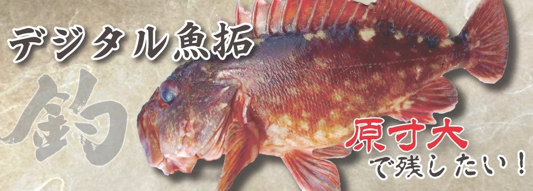 デジタル魚拓印刷サービス