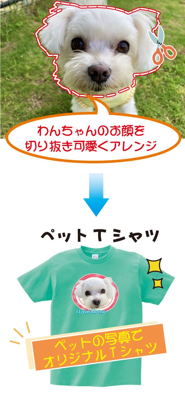 ペットTシャツ