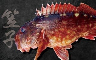 デジタル魚拓印刷