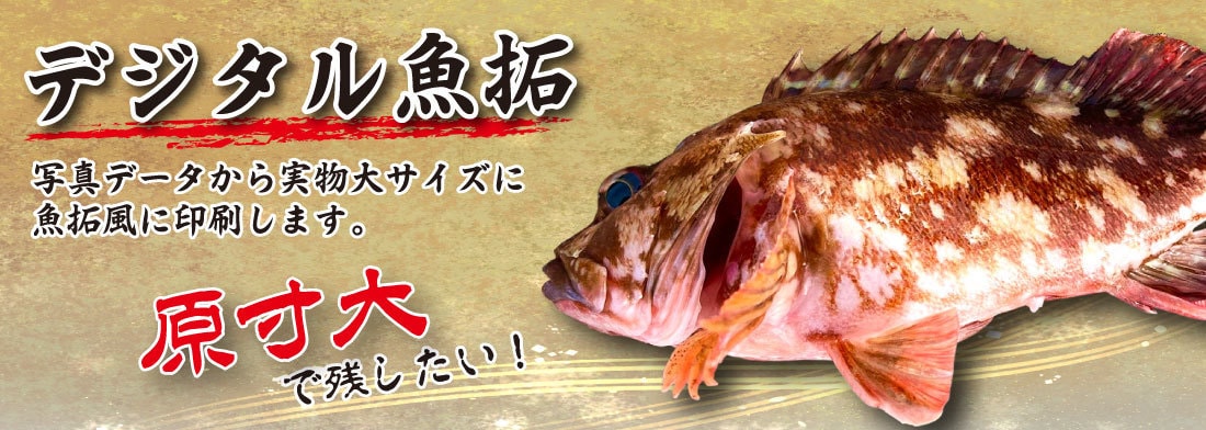 デジタル魚拓タイトル