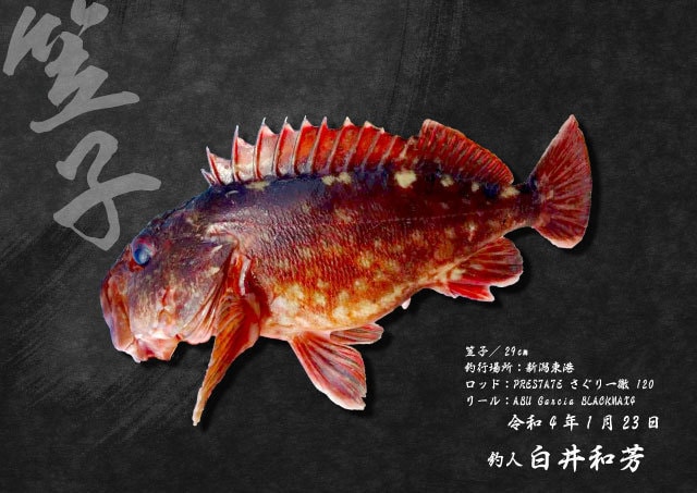 魚拓事例1