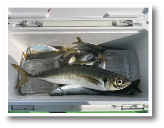 地図付きショップカード