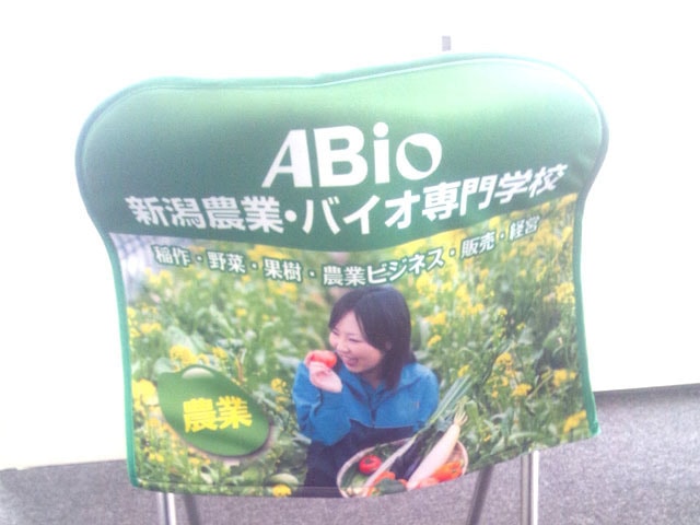 椅子カバー　グリーン