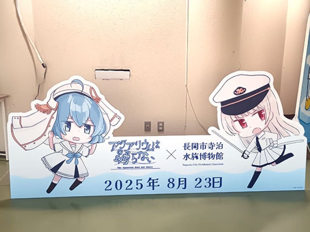 水族館撮影パネル2