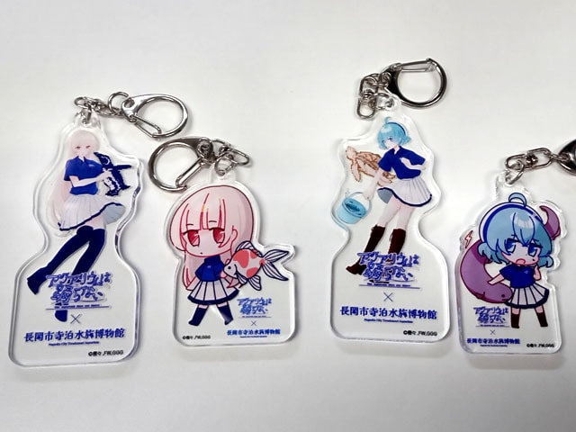 アクリルフォルダー3