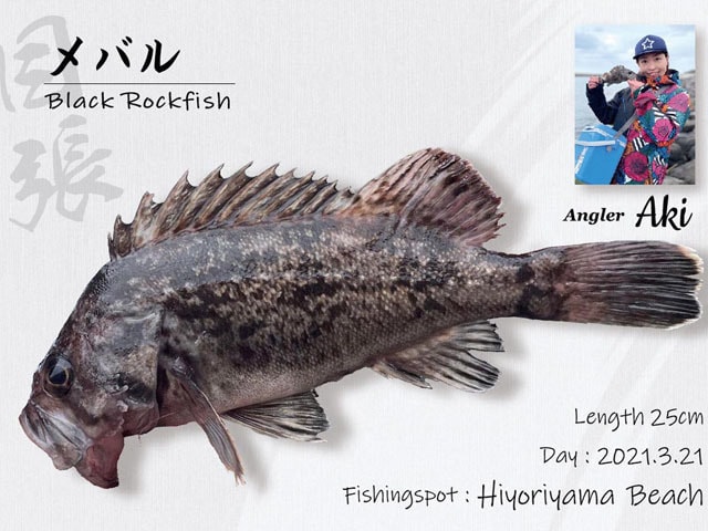魚拓事例2