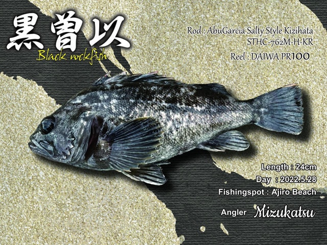 魚拓事例5