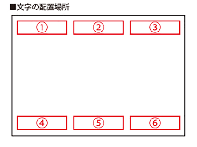 レギュラータイプ事例