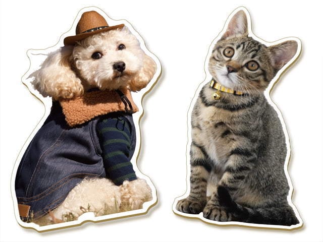 アウトラインカットイメージ